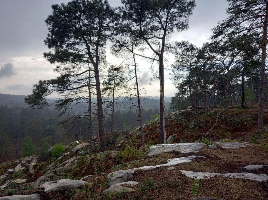 Gite Les Petites Bruyeres Veneux-les-Sablons Exterior foto